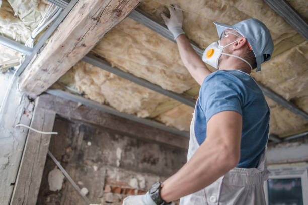 Best Insulation Maintenance and Repair in Findlay, OH