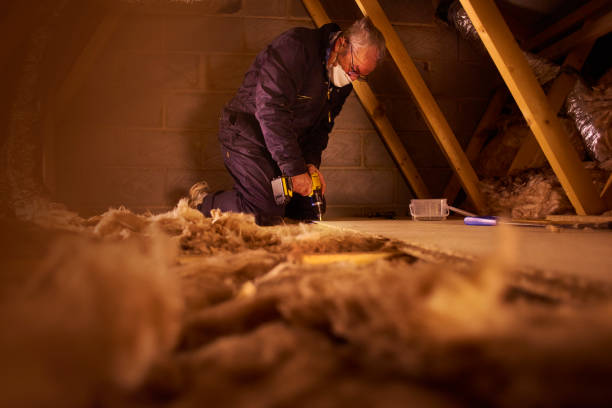 Best Eco-Friendly Insulation in Findlay, OH